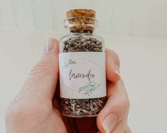 Lavender | Loose Herb Apothecary Jar | Green Witch Spell Ingredients