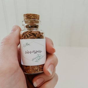 Cinnamon |  Loose Herb Apothecary Jar | Green Witch Spell Ingredients