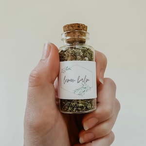 Lemon Balm | Loose Herb Apothecary Jar | Green Witch Spell Ingredients
