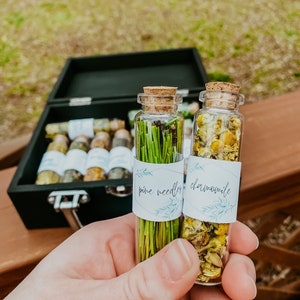 24 Jar (20ml) Custom Apothecary Starter Kit - Pick 24 Personalized Herbs | Baby Witch | Herbal Green Witch Magic