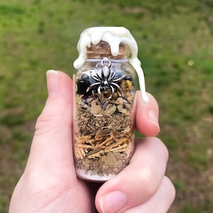 May include: A small glass jar filled with dried herbs and a silver spider charm. The jar has a white wax seal on the top.