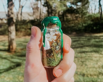 Frasco de hechizos para atraer la buena suerte y la prosperidad / Bendición wicca / Frasco de intenciones de la bruja verde