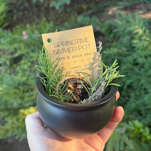 May include: A small matte black cauldron filled with a Springtime Simmer Pot herb and spice mix. The contents include sprigs of green rosemary, dried lavender, and a dehydrated citrus slice. A tan tag displays the text Springtime Simmer Pot.