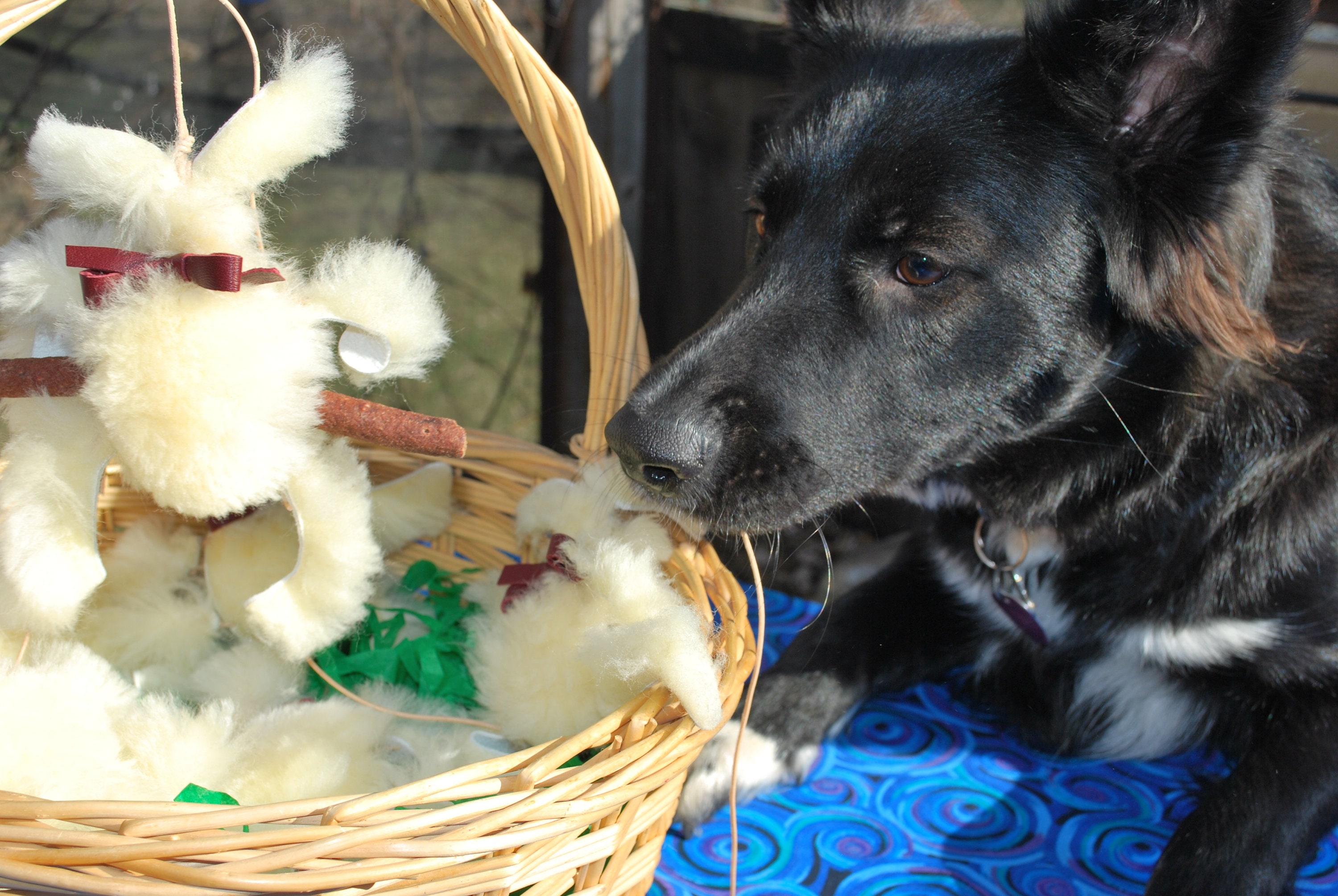 Hasen Leckerli Halter Hunde Leckerli Halter Hasen Spielzeug Etsy