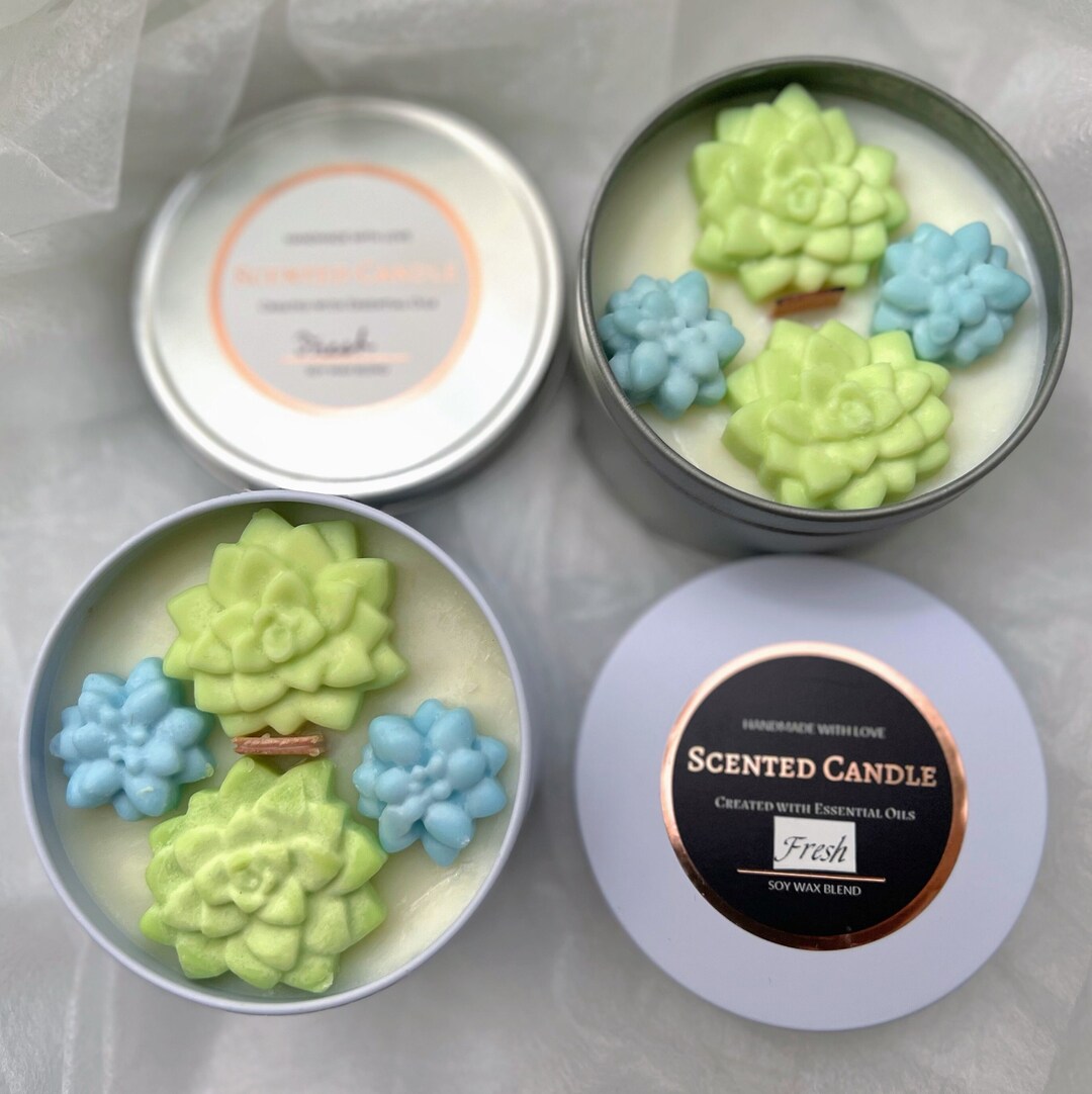 Succulent Plant Candle | Soy Wax Candle in A Tin Can | Candles for Gift ...