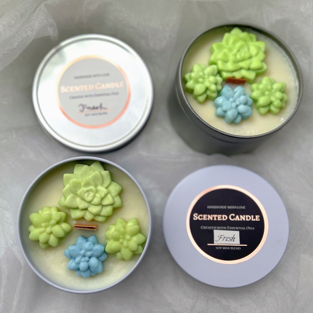 Succulent Plant Candle | Soy Wax Candle in A Tin Can | Candles for Gift ...