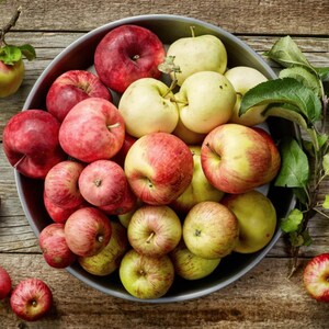 May include: A bowl filled with a variety of red and green apples. The apples are arranged in a random pattern and some are partially overlapping. The bowl is sitting on a wooden surface.