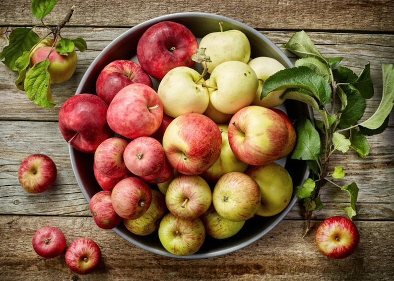 May include: A bowl filled with a variety of red and green apples. The apples are arranged in a random pattern and some are partially overlapping. The bowl is sitting on a wooden surface.
