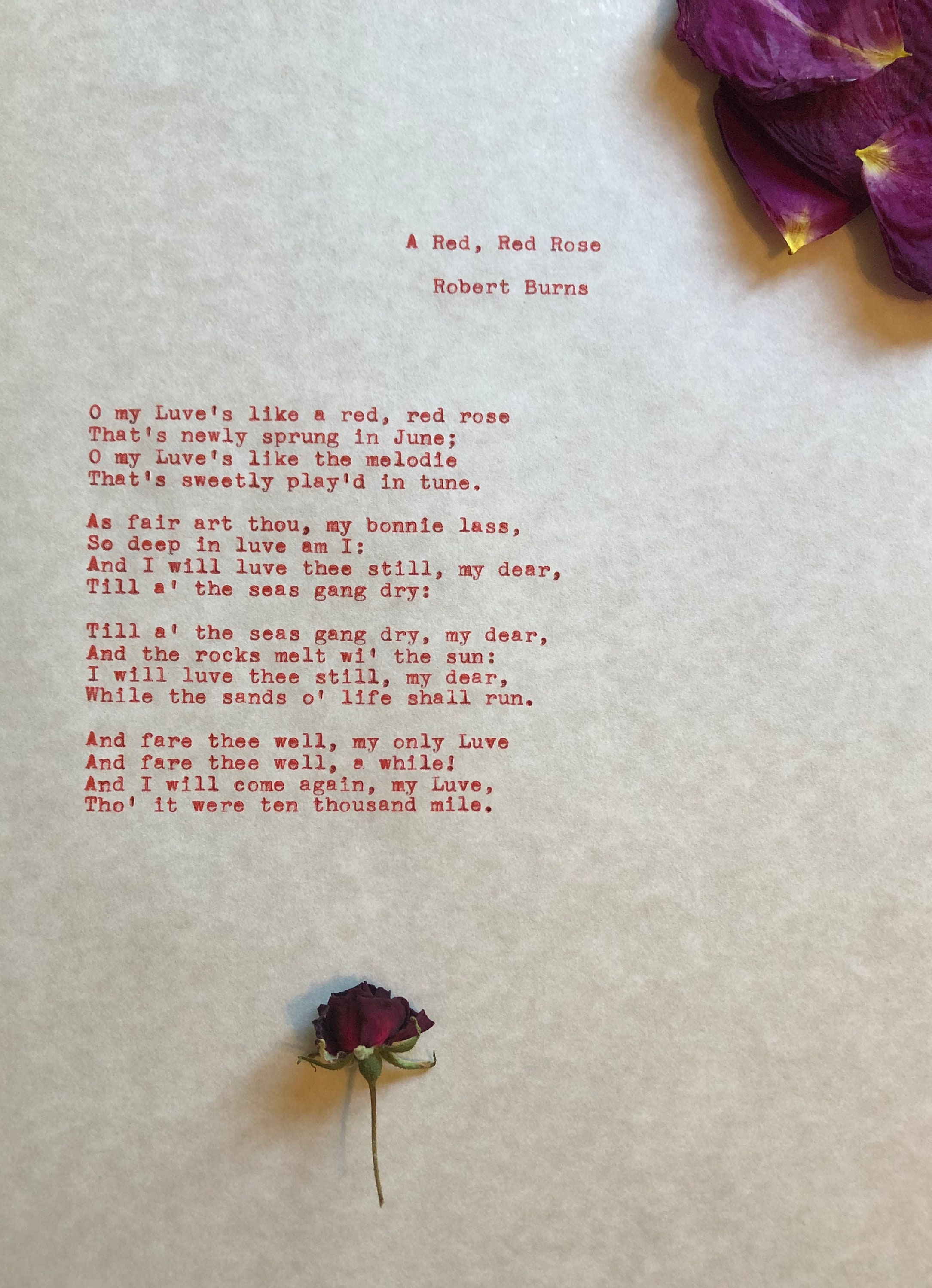 Rektangel Omkreds tage ned A Red Red Rose Poem - Etsy
