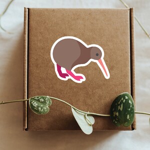 May include: A brown cardboard box with a sticker of a brown kiwi bird with a pink beak and legs. The box is sitting on a white surface with a green vine.