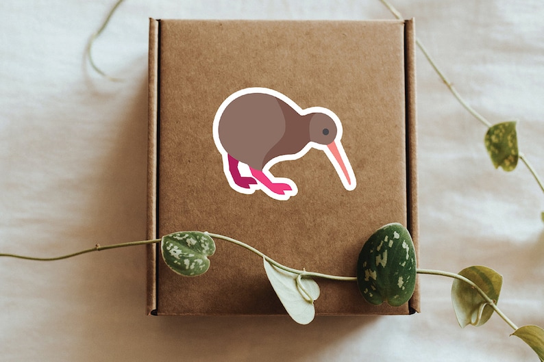 May include: A brown cardboard box with a sticker of a brown kiwi bird with a pink beak and legs. The box is sitting on a white surface with a green vine.