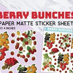 Berry bunches sticker sheets, paper matte stickers, vineyard, fruits, vintage, clipart, sticker sheet, fancy, raspberries, blackberries