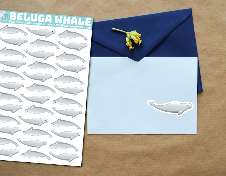 Beluga Whale Sticker Sheet, Matte Stickers, Zoo, Animal Love, Animals ...