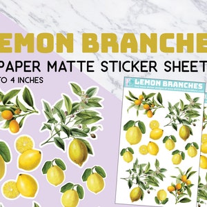 Lemon Branches sticker sheets, paper matte stickers, vineyard, fruits, vintage, clipart, sticker sheet, fancy, lemons, citrus, orchard, tree