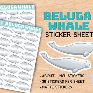 Beluga Walvis sticker vel, matte stickers, dierentuin, dierenliefde, dieren, stationair, voor tijdschriften, planners, geschenken, notitieboekjes, reizen, artic