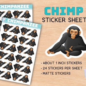 May include: Two sticker sheets featuring chimpanzee illustrations. Each sheet has multiple stickers of a chimpanzee in a sitting position. The text "CHIMP STICKER SHEET" is displayed in turquoise. The stickers are about 1 inch in size and are matte.