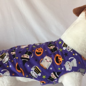 Costumed kitties and pumpkins pet coat