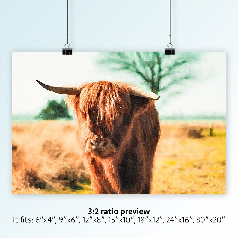 Free Free 94 Highland Cow Svg Free SVG PNG EPS DXF File