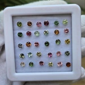Könnte beinhalten: Eine Sammlung kleiner, runder Edelsteine in einer weißen Vitrine. Die Edelsteine sind in verschiedenen Farben, darunter Grün, Braun, Rosa und Gelb. Die Vitrine wird von einer behandschuhten Hand gehalten, der Hintergrund ist unscharf.
