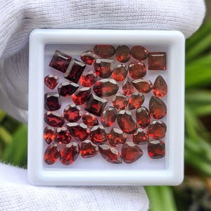 May include: A collection of faceted, deep red gemstones of various shapes, including squares, ovals, and teardrops, are displayed in a white square tray. The gems are arranged closely together, showcasing their rich color and reflective surfaces. The tray is held by a gloved hand.