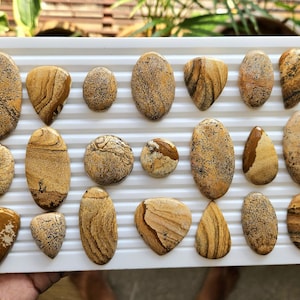 Picture Jasper Cabochon Lot – Mixed Shapes Gemstones for Jewelry Making, Natural Picture Jasper Stones, Flat Back Picture Jasper Cabs.