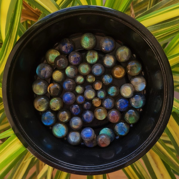 AAA Quality Natural Labradorite Cabochon Round Shape Calibrated Size Cabochons Wholesale Lot~ Labradorite Cabochon~ Labradorite Loose Stone.