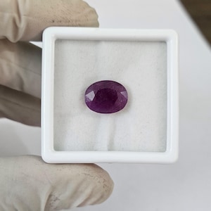 May include: A faceted, oval-shaped, deep red gemstone, likely a ruby, is displayed in a white, square jewelry box. The gem's polished surfaces reflect light, showcasing its clarity and rich color. The box is held by a gloved hand, suggesting careful handling.