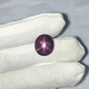 Puede incluir: Una piedra preciosa de rubí estrella de color púrpura oscuro con una estrella de seis puntas en el centro.