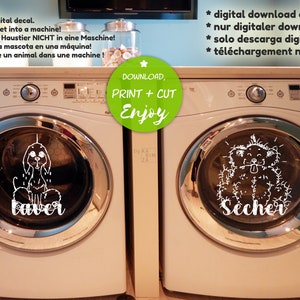 Lavage à sec svg Français, SVG drôle de chien mouillé, téléchargement immédiat