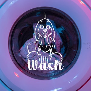 Wash Dry svg, funny laundry svg, Funny Wet Dog SVG, Instant Download image 5