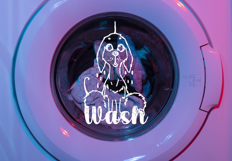 Wash Dry svg, funny laundry svg, Funny Wet Dog SVG, Instant Download image 5