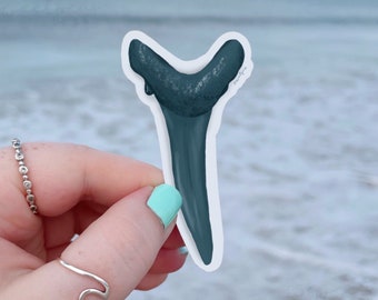 Shark Tooth Sticker , Tiger Shark Tooth Sticker , Matte Clear Weatherproof , Shark Awareness Sticker