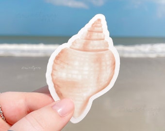 Birth Shell Sticker , Nutmeg Shell Sticker , Matte Clear Weatherproof , Birthday gift idea , Birth Month Sticker , Sea Shell Sticker