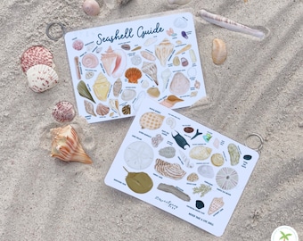 Seashell Identification Guide: Waterproof Shell Guide, Beach Lover Gift