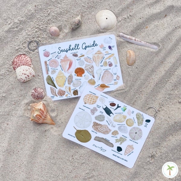 Seashell Guide, Shell Reference Guide, Beach Guide, Waterproof Shell Guide, Beach Lover Gift