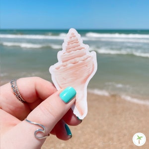 May include: A pink seashell sticker with a white border. The sticker is held in a hand against a background of a beach with blue water and white sand.