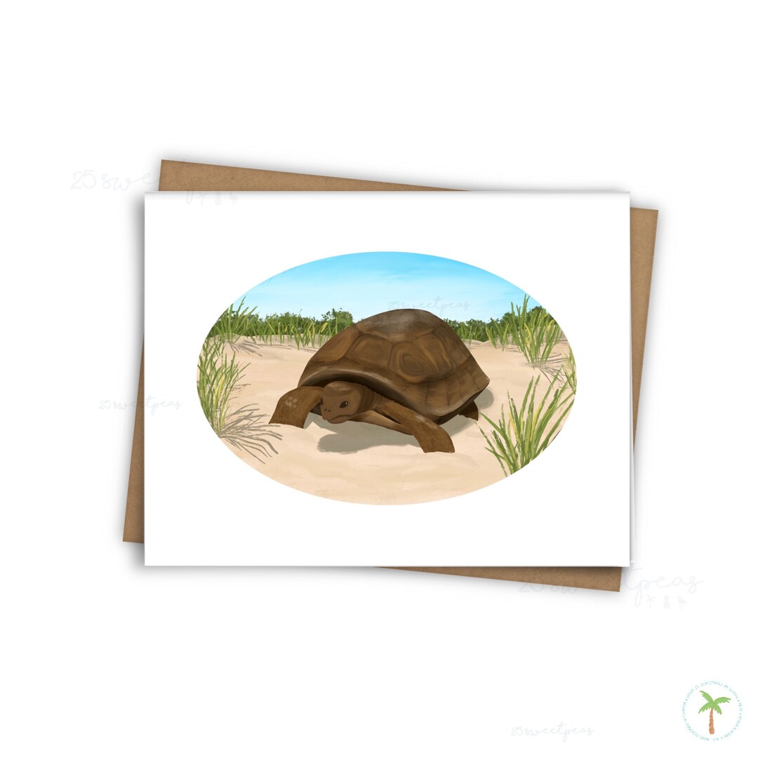 Gopher Tortoise Card: Wildlife Art Mini Print - Etsy