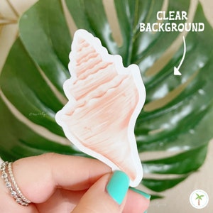 Conch Shell Shaped clear sticker with a matte finish. It is being held in front of a Monstera Leaf and is attached to its white backing. The Conch Shell is the Birth Shell for June.