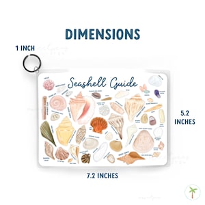 A Photo of the front of the Seashell ID Guide along with its dimensions. Its 5X7, laminated and has a Key Ring to make it easy to take with you to the beach, and out on your outdoor adventures.