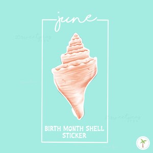 Conch Shell Shaped clear sticker with a matte finish. It is laying on sand and is attached to its white backing. The Conch Shell is the Birth Shell for June.