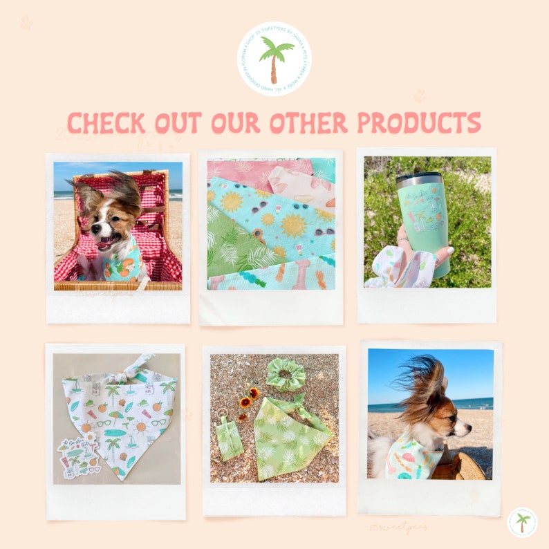 Birth Shell Sticker , Conch Shell Sticker , Matte Clear Weatherproof , Birthday gift idea , Birth Month Sticker image 8