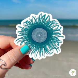 May include: A teal sticker featuring a stylized sea urchin design. The sticker has a central circular pattern surrounded by radiating, spiky lines. The background shows a beach and ocean.