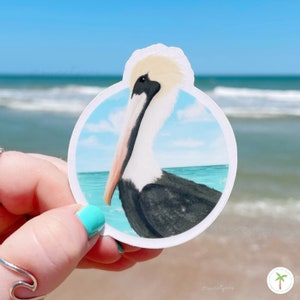 Pelican Sticker , Beach Sticker , Matte Clear Weatherproof , Outdoor Lover Gift