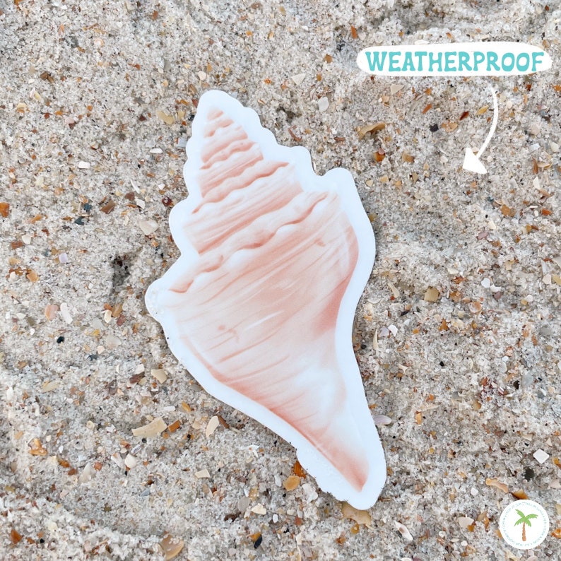 Conch Shell Shaped clear sticker with a matte finish. It is laying on sand and is attached to its white backing. The Conch Shell is the Birth Shell for June.