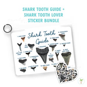May include: A white rectangular sticker bundle with a shark tooth guide and a heart-shaped sticker. The guide features illustrations of various shark teeth, labeled with their species names. The text "SHARK TOOTH GUIDE + SHARK TOOTH LOVER STICKER BUNDLE" is at the top.