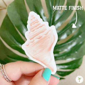Conch Shell Shaped clear sticker with a matte finish. It is being held in front of a Monstera Leaf and is attached to its white backing. The Conch Shell is the Birth Shell for June.