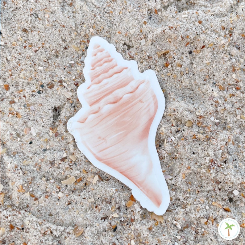 Conch Shell Shaped clear sticker with a matte finish. It is laying on sand and is attached to its white backing. The Conch Shell is the Birth Shell for June.