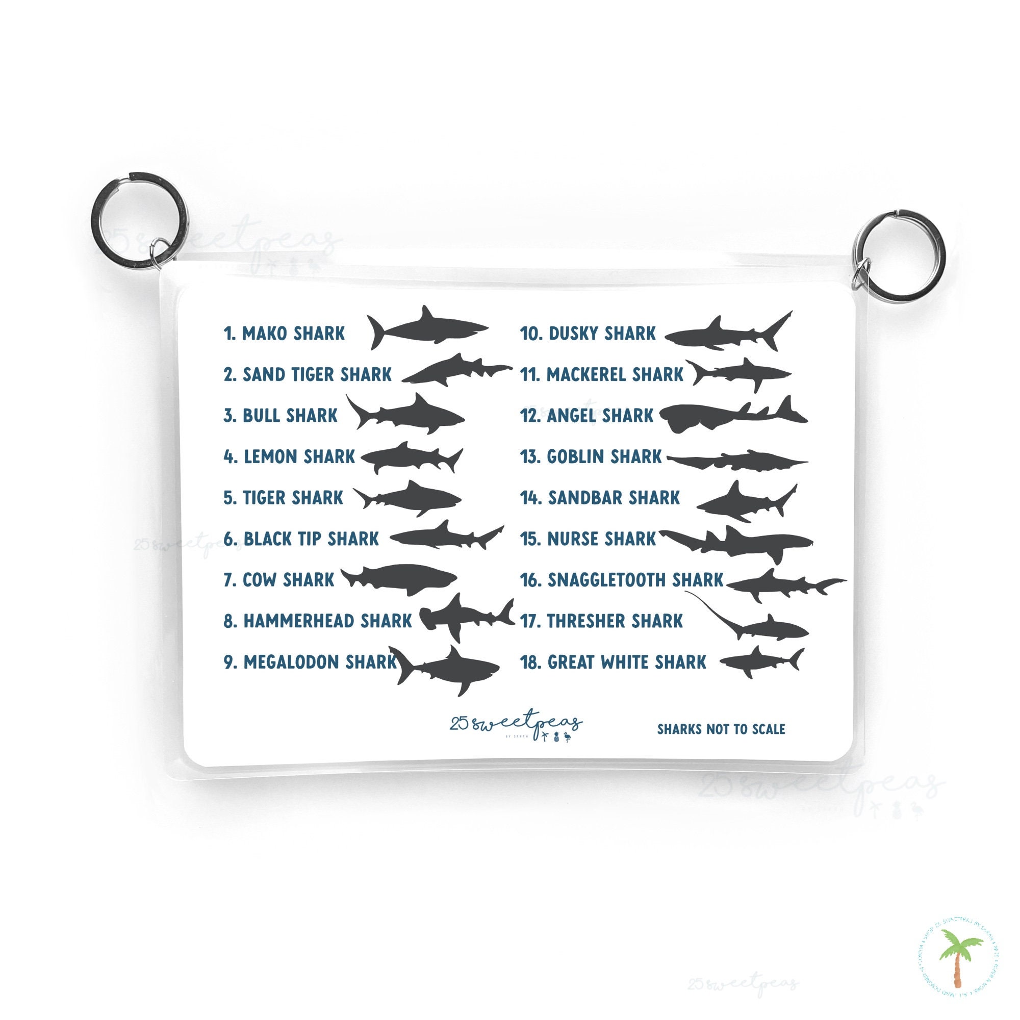 Shark Tooth Fossil Guide Shark Tooth Reference Guide Beach - Etsy