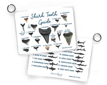 Shark Tooth Fossil Guide, Shark Tooth Reference Guide, Beach Guide, Waterproof Guide, Beach Lover Gift