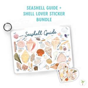 May include: A bundle featuring a "Seashell Guide" and a "Shell Lover Sticker." The guide is a white, rectangular print with various seashell illustrations and labels. A heart-shaped sticker with seashell images is also included. The text "Seashell Guide + Shell Lover Sticker Bundle" is at the top.